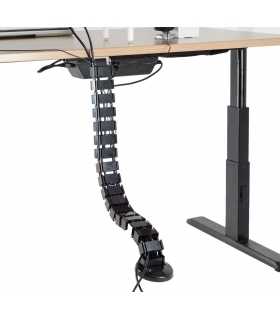 Actualizado Suelos De Tipo De Canal De Cable Masaalt La Columna Vertebral De Los Dinosaurios