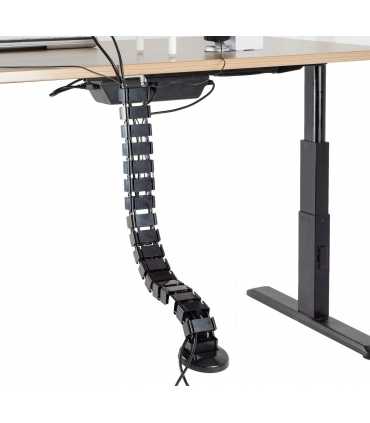 Aktualisiert Bodenbelag-Kabel-Kanal-Masaalt Die Wirbelsäule Der Dinosaurier