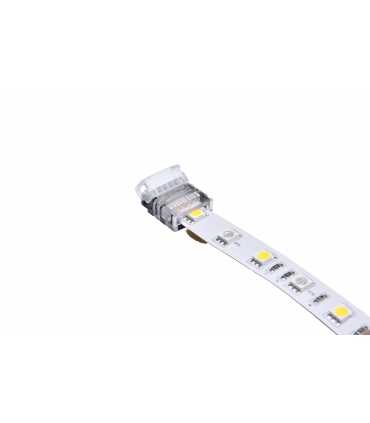 Tira + Tira IP20 Conector